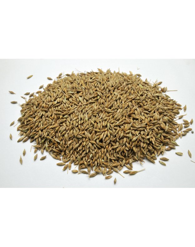 Miežu graudi 40 kg