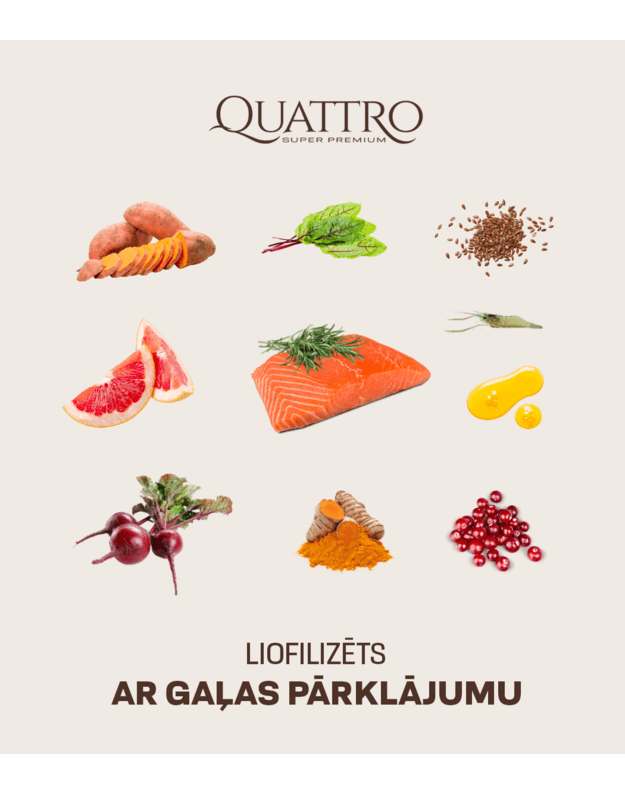 Visu šķirņu pieaugušo suņu barība bez graudiem ar lasi un krilu 3 kg 2