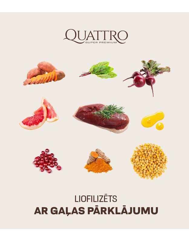 Quattro bezgraudu sausā barība liela auguma suņiem ar pīli 3kg